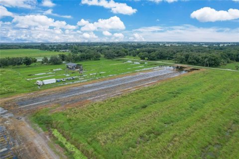 Terreno en venta en Arcadia, Florida № 1361517 - foto 9