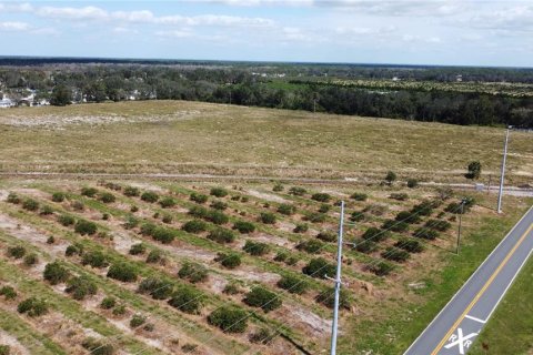 Terreno en venta en Avon Park, Florida № 1403665 - foto 6