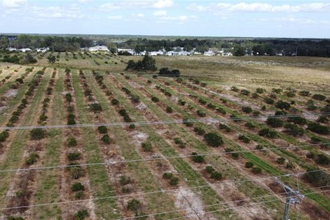 Terreno en venta en Avon Park, Florida № 1403665 - foto 13