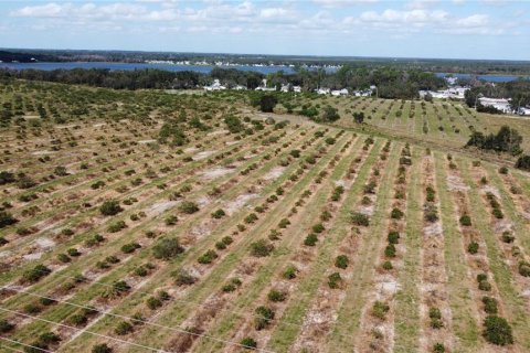 Terreno en venta en Avon Park, Florida № 1403665 - foto 7