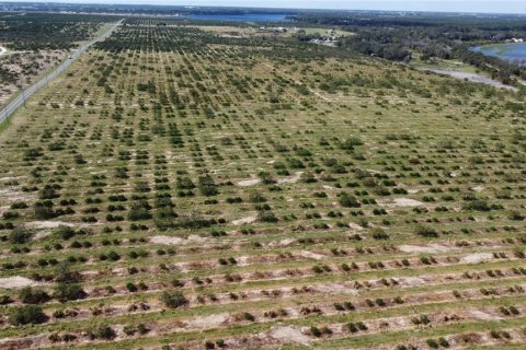 Terreno en venta en Avon Park, Florida № 1403665 - foto 9