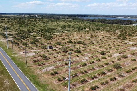 Terreno en venta en Avon Park, Florida № 1403665 - foto 3