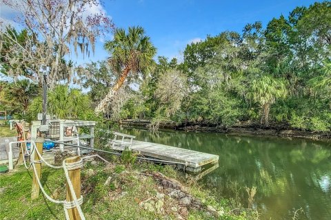 Villa ou maison à vendre à Crystal River, Floride: 2 chambres, 134.15 m2 № 1342879 - photo 26