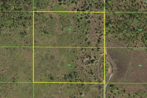 Land in Punta Gorda, Florida № 445400 - photo 3