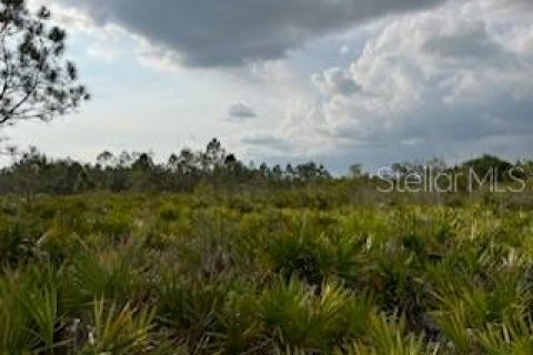 Land in Punta Gorda, Florida № 445400 - photo 19