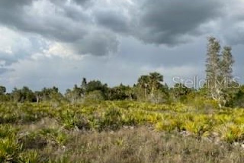 Land in Punta Gorda, Florida № 445400 - photo 22