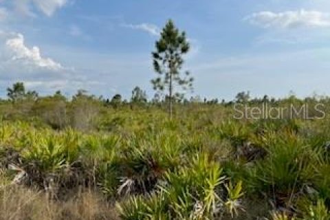 Land in Punta Gorda, Florida № 445400 - photo 20