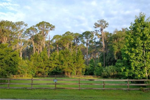 Land in Seville, Florida № 1373465 - photo 5