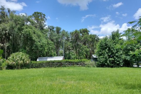 Land in Seville, Florida № 1373465 - photo 6