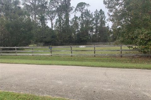 Terreno en venta en Seville, Florida № 1373465 - foto 2