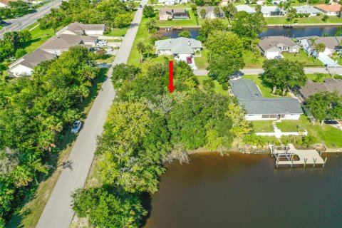 Terreno en venta en Palm Coast, Florida № 1354376 - foto 8