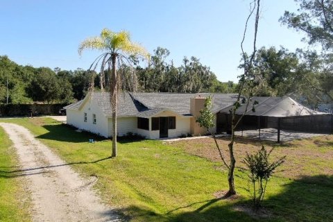 Villa ou maison à vendre à Lutz, Floride: 3 chambres, 182.46 m2 № 533554 - photo 17