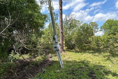 Terrain à vendre à Punta Gorda, Floride № 992363 - photo 6