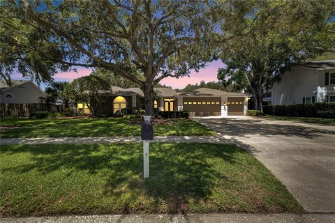 Villa ou maison à vendre à Lutz, Floride: 5 chambres, 348.76 m2 № 1268430 - photo 4