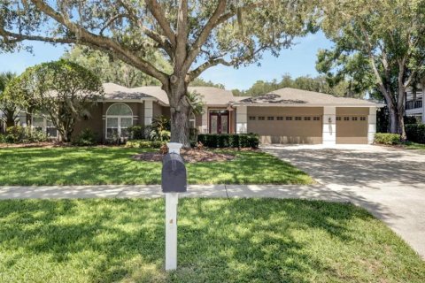 Villa ou maison à vendre à Lutz, Floride: 5 chambres, 348.76 m2 № 1268430 - photo 1