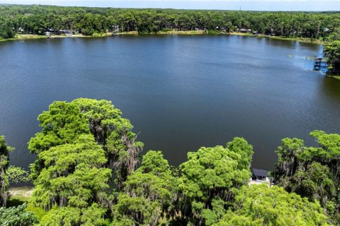 Villa ou maison à vendre à Lutz, Floride: 5 chambres, 348.76 m2 № 1268430 - photo 7