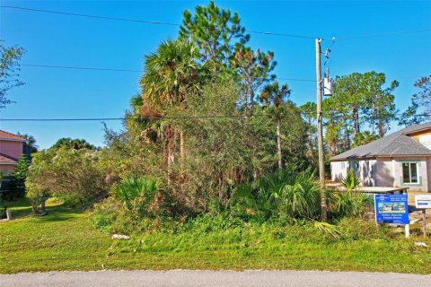 Land in Palm Coast, Florida № 665578 - photo 19