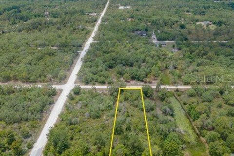 Terreno en venta en Weeki Wachee, Florida № 1335315 - foto 4