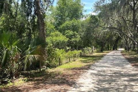 Terreno en venta en De Leon Springs, Florida № 1371144 - foto 5