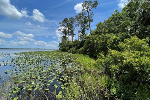 Land in De Leon Springs, Florida № 1371144 - photo 7