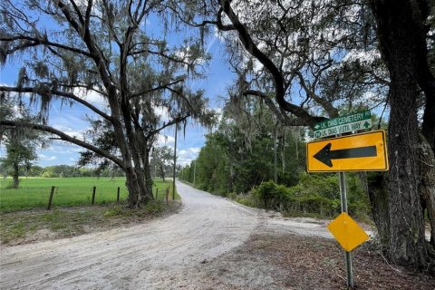 Land in De Leon Springs, Florida № 1371144 - photo 2