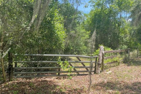 Terreno en venta en De Leon Springs, Florida № 1371144 - foto 6