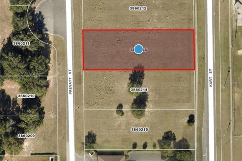 Land in Eustis, Florida № 1371147 - photo 3