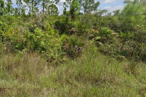 Land in Punta Gorda, Florida № 1359404 - photo 1