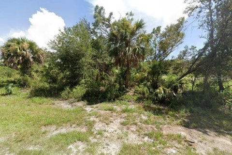 Land in Punta Gorda, Florida № 1359404 - photo 2