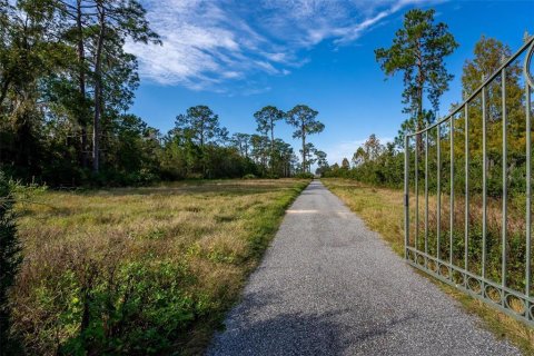 Terreno en venta en Winter Garden, Florida № 1277572 - foto 2