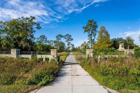 Land in Winter Garden, Florida № 1277572 - photo 1