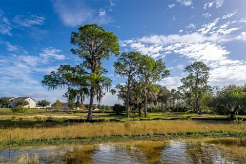 Terreno en venta en Winter Garden, Florida № 1277572 - foto 7