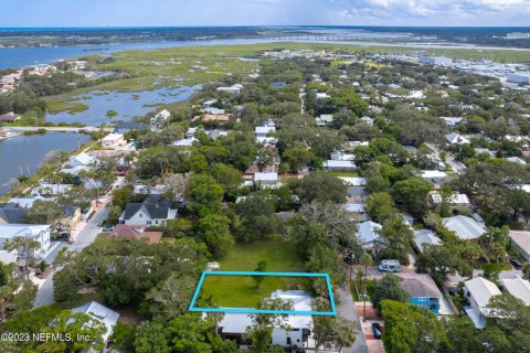 Land in Saint Augustine, Florida № 772708 - photo 12