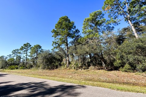 Terreno en venta en Jacksonville, Florida № 877856 - foto 29