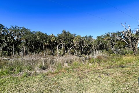 Land in Jacksonville, Florida № 877856 - photo 24