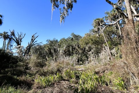 Land in Jacksonville, Florida № 877856 - photo 15