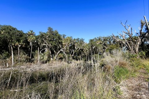 Terreno en venta en Jacksonville, Florida № 877856 - foto 22