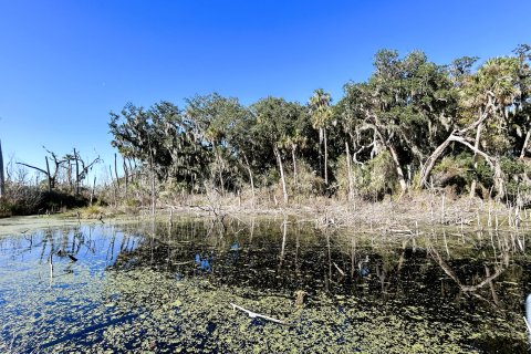 Land in Jacksonville, Florida № 877856 - photo 20