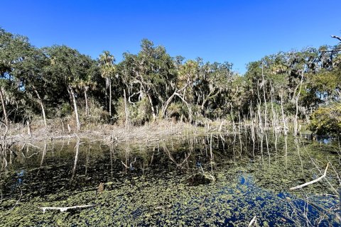 Land in Jacksonville, Florida № 877856 - photo 21