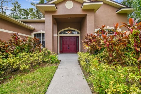 Villa ou maison à vendre à Odessa, Floride: 4 chambres, 205.87 m2 № 1361033 - photo 3