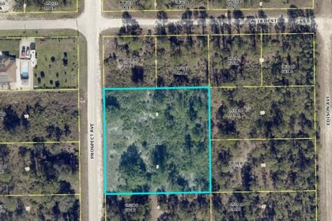 Terreno en venta en Lehigh Acres, Florida № 1382145 - foto 1