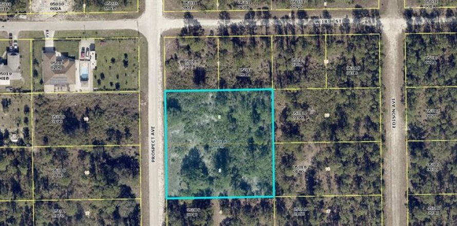 Land in Lehigh Acres, Florida № 1382145