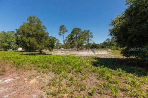 Купить земельный участок в Палм-Кост, Флорида № 1214616 - фото 11