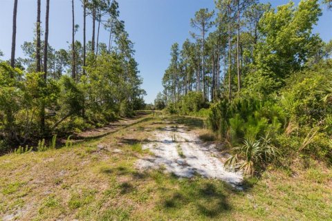 Land in Palm Coast, Florida № 1214616 - photo 23