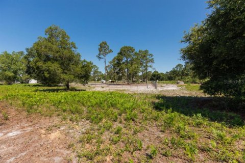 Купить земельный участок в Палм-Кост, Флорида № 1214616 - фото 21