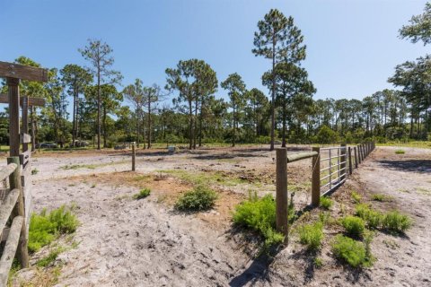 Купить земельный участок в Палм-Кост, Флорида № 1214616 - фото 26