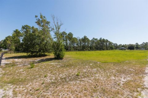 Купить земельный участок в Палм-Кост, Флорида № 1214616 - фото 5