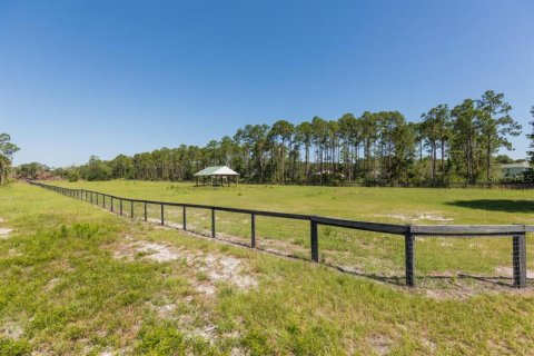 Купить земельный участок в Палм-Кост, Флорида № 1214616 - фото 4