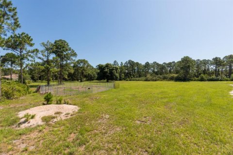 Купить земельный участок в Палм-Кост, Флорида № 1214616 - фото 3