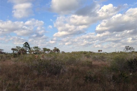 Land in Punta Gorda, Florida № 443604 - photo 19